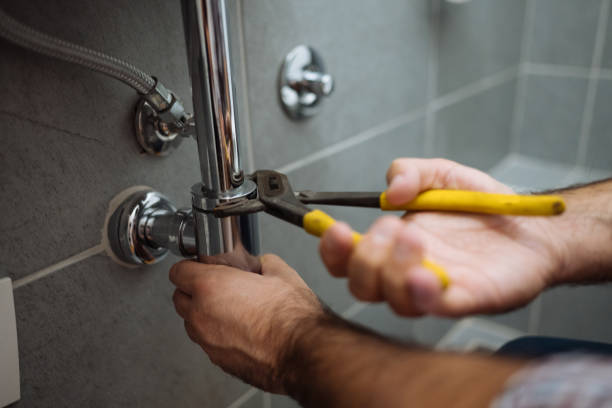 Best Residential Plumbing Services  in Roy, UT